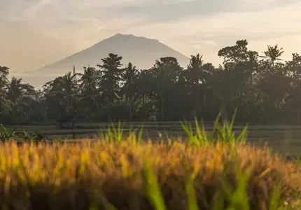 Agung depuis les rizières d'ubud