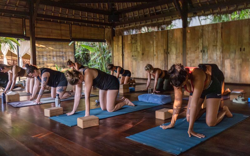 immersion-formation-yoga-featured